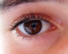 oog