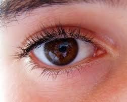 oog